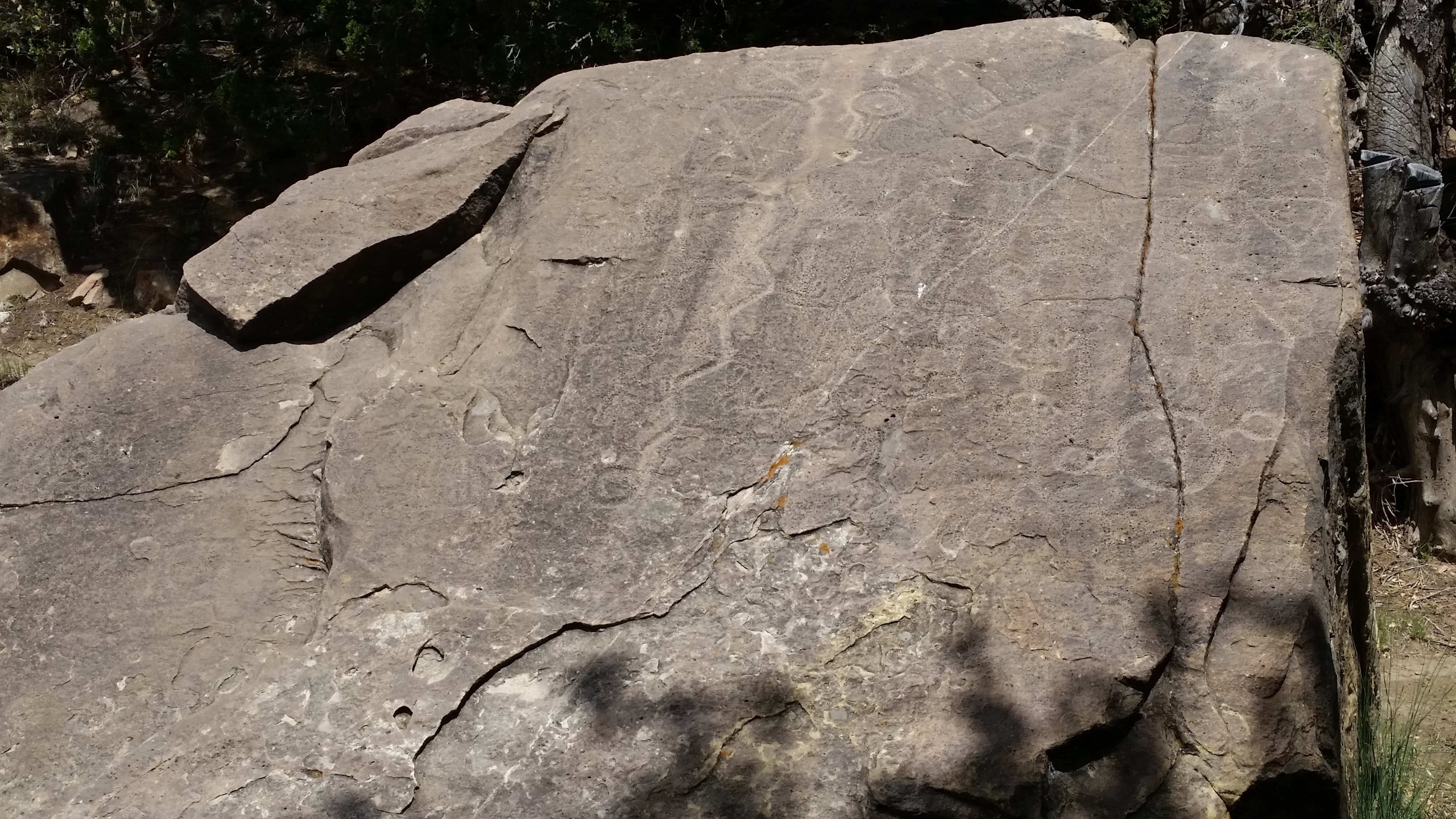 Petroglyphs in the Sierra Blanca Region 